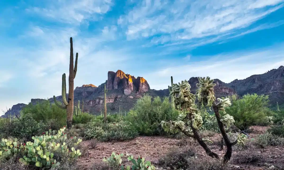 In Balance Counseling Inc - Hero Image